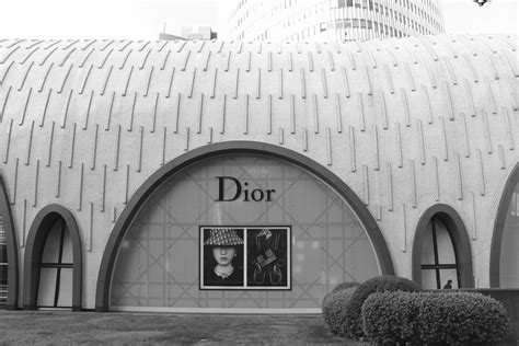 acheter action dior
